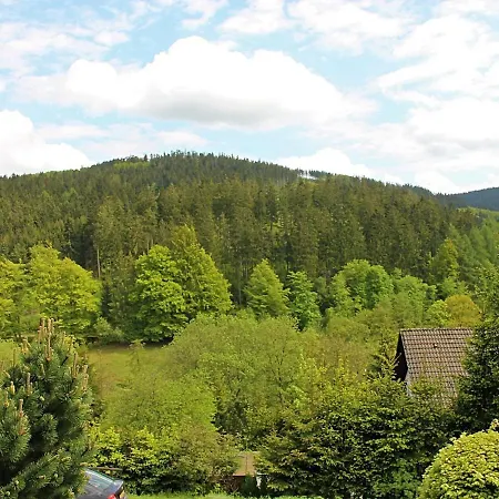 Scenic Holiday Home In Willingen With Balcony Дом отдыха