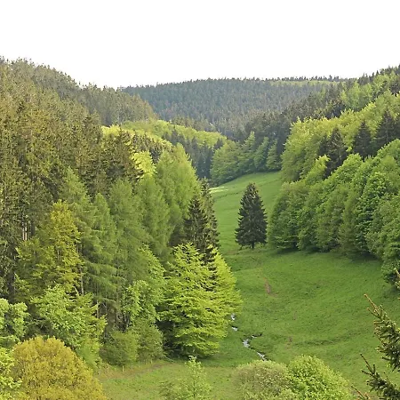 Дом отдыха Scenic Holiday Home In Willingen With Balcony *